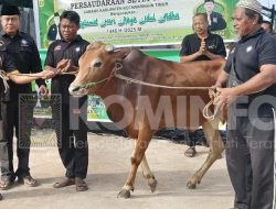 Sembilih 7 Ekor Sapi, PSHT Cabang Kotawaringin Timur Salurkan 700 Bungkus Daging Hewan Qurban